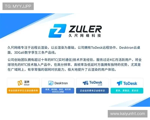 探讨开云在线登录入口的安全性和用户体验的优化方案